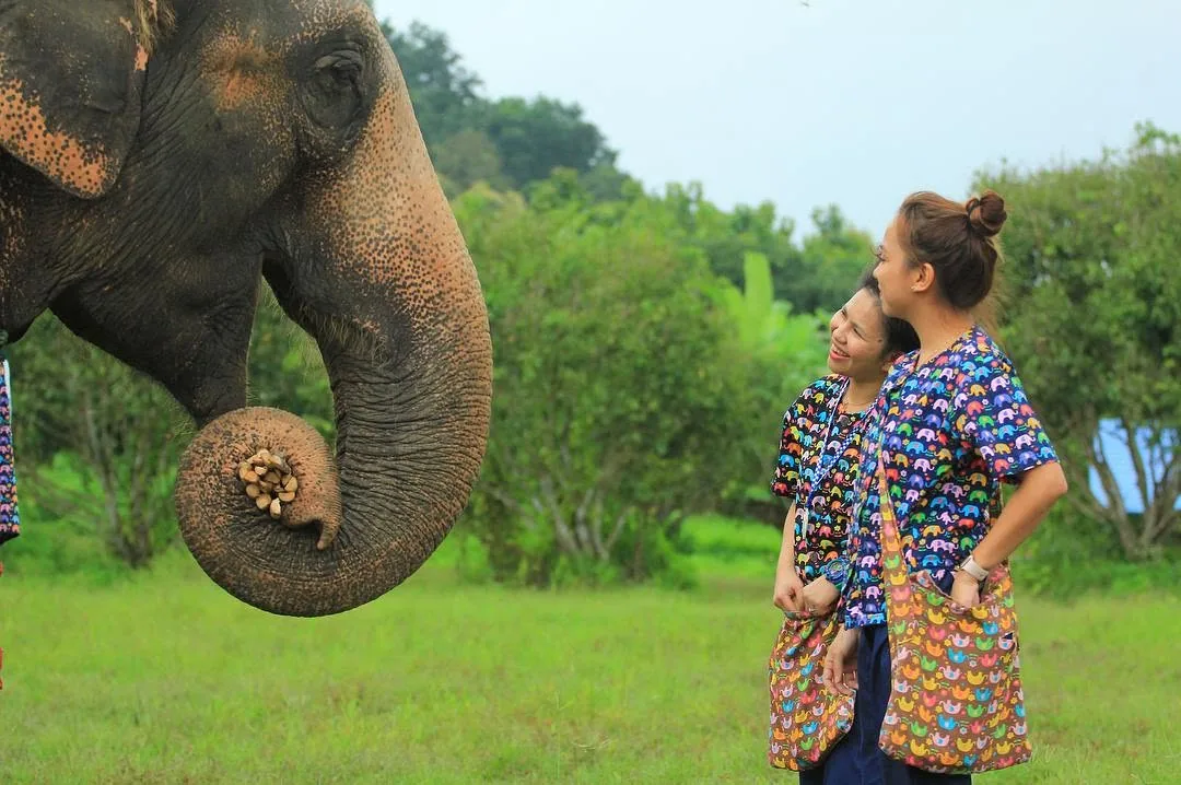 Dee and Kimy smiling at an elephant holding snacks in its trunk
