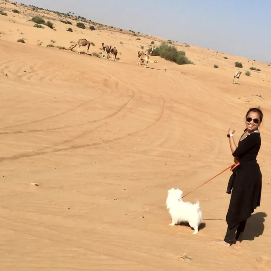 A desert walk, with camels in the distance.
