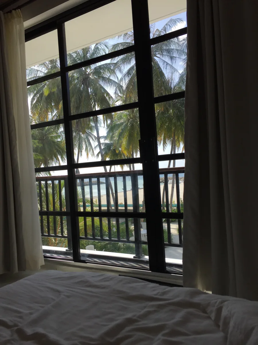 The view from our room on Maafushi: palm trees, a balcony and the sea beyond