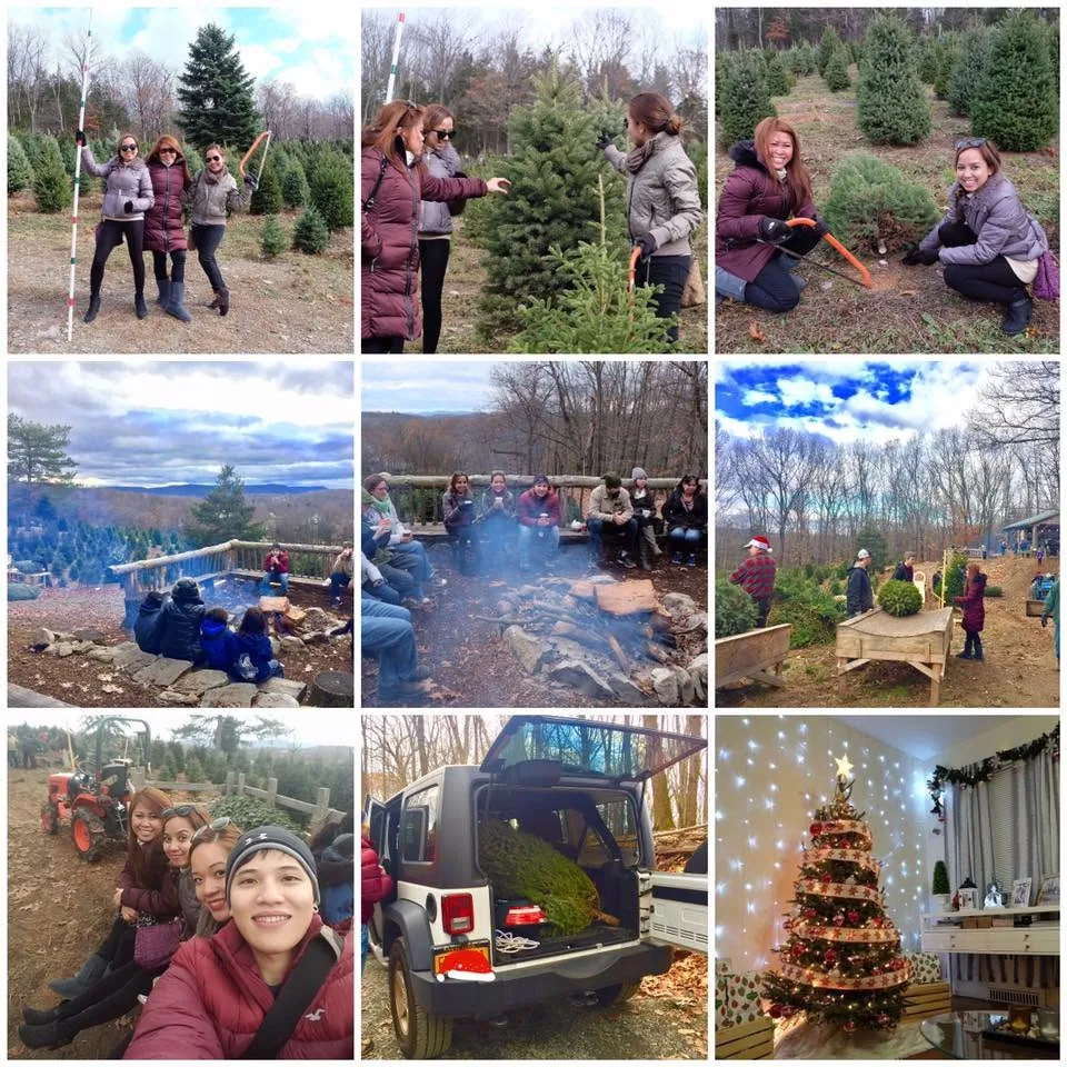 Collage of a family day at a Christmas tree farm